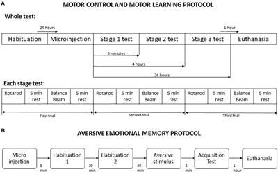 The Effects of Intravermis Cerebellar Microinjections of Dopaminergic Agents in Motor Learning and Aversive Memory Acquisition in Mice